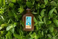 モヒートミントシロップ びん200ml 1本