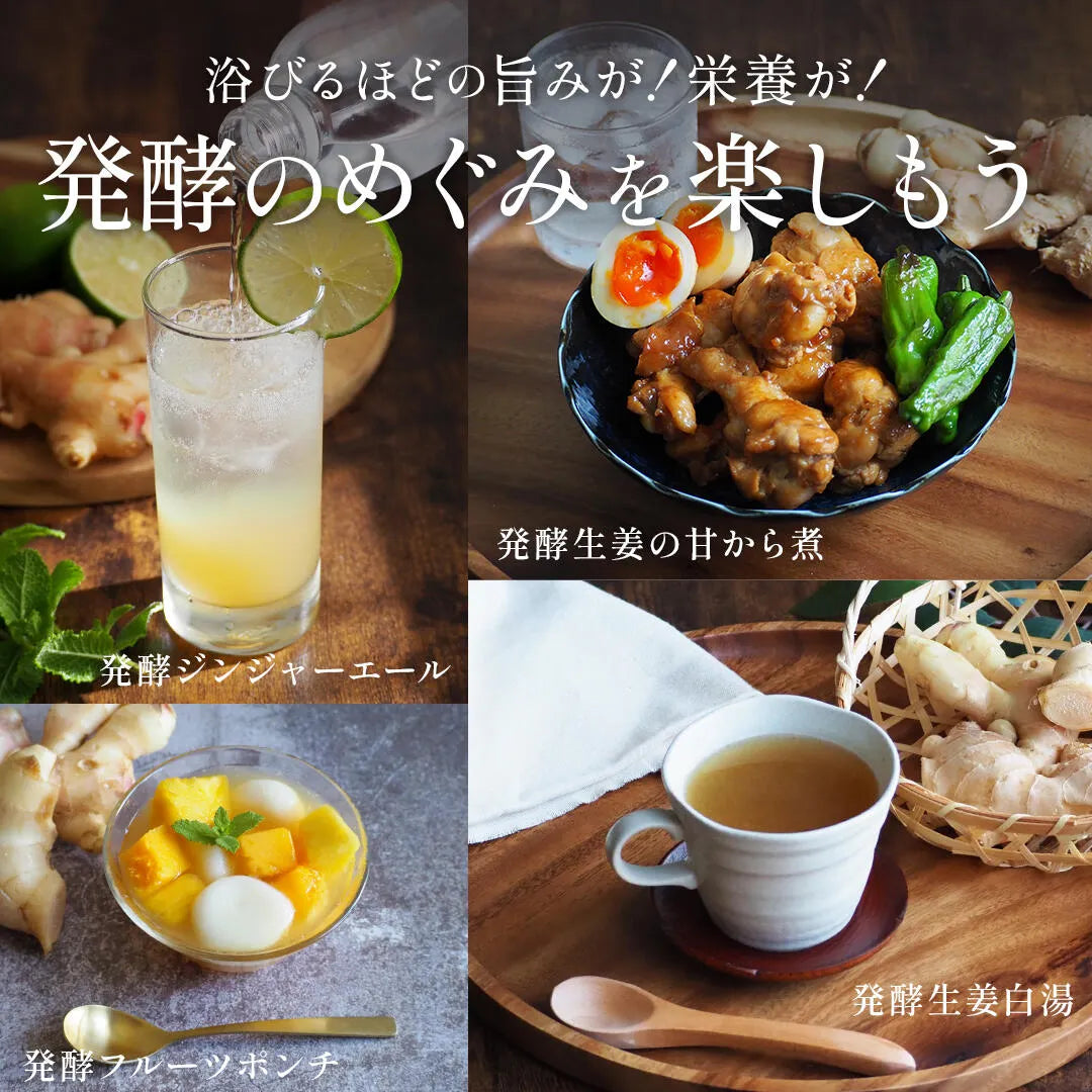 発酵生姜シロップ360ml