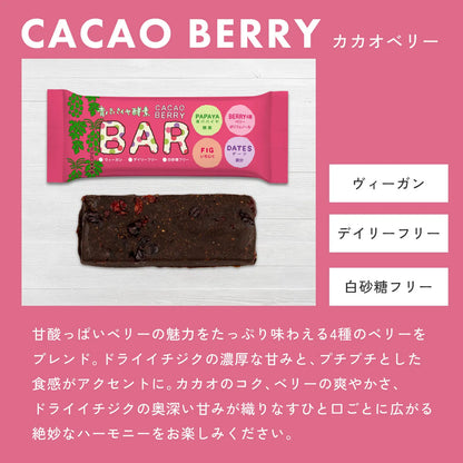 青パパイヤ酵素入りバー