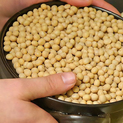 自然栽培みそ 未来 400g