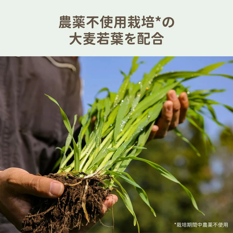 Beグリーン GF