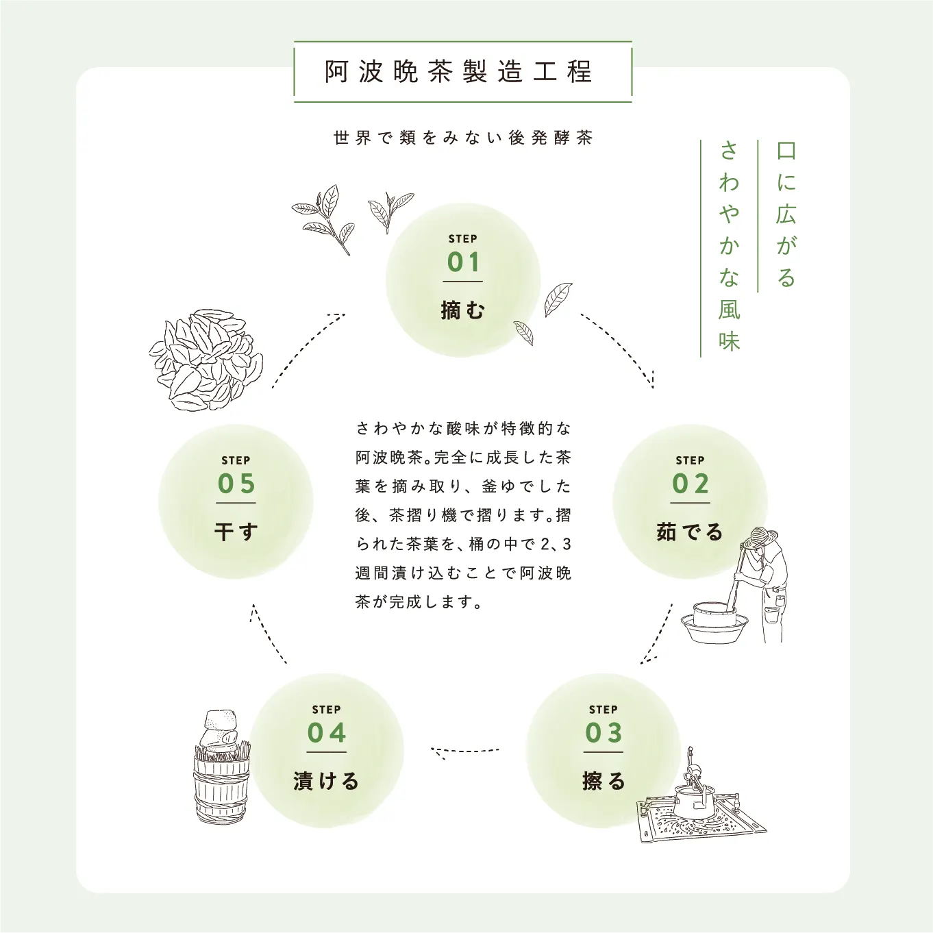 乳酸菌後発酵茶 HOLO TEA 20包入り 阿波晩茶×玄米ブレンド 3g×20包