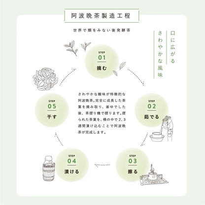 乳酸菌後発酵茶 HOLO TEA 20包入り 阿波晩茶×玄米ブレンド 3g×20包