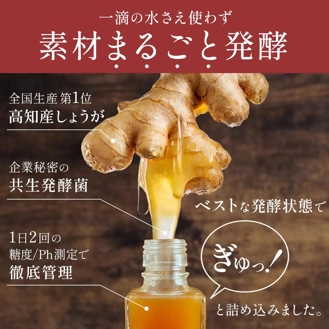 発酵生姜シロップ360ml