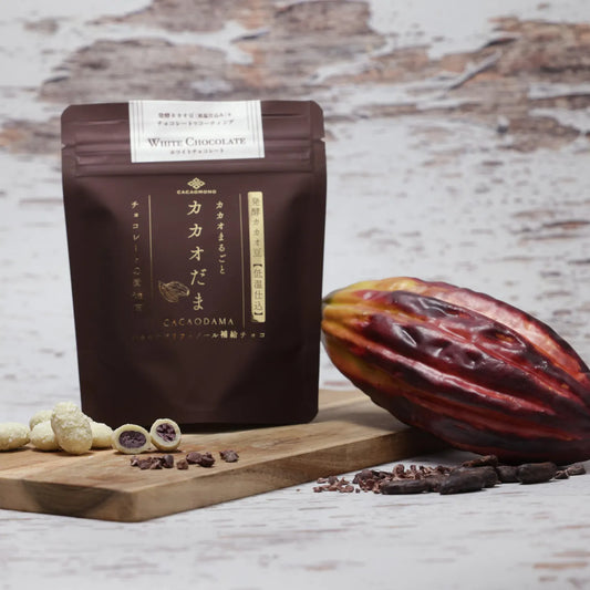 カカオだま ホワイトチョコ ココナッツ＆ローカカオ豆 低温仕込み発酵カカオ豆使用