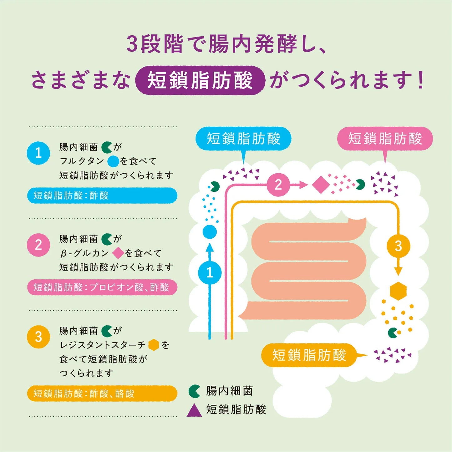 マイ・フローラ グラノーラ