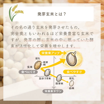 植物性プロテイン「まめとこめ」抹茶味（日々の元気に）