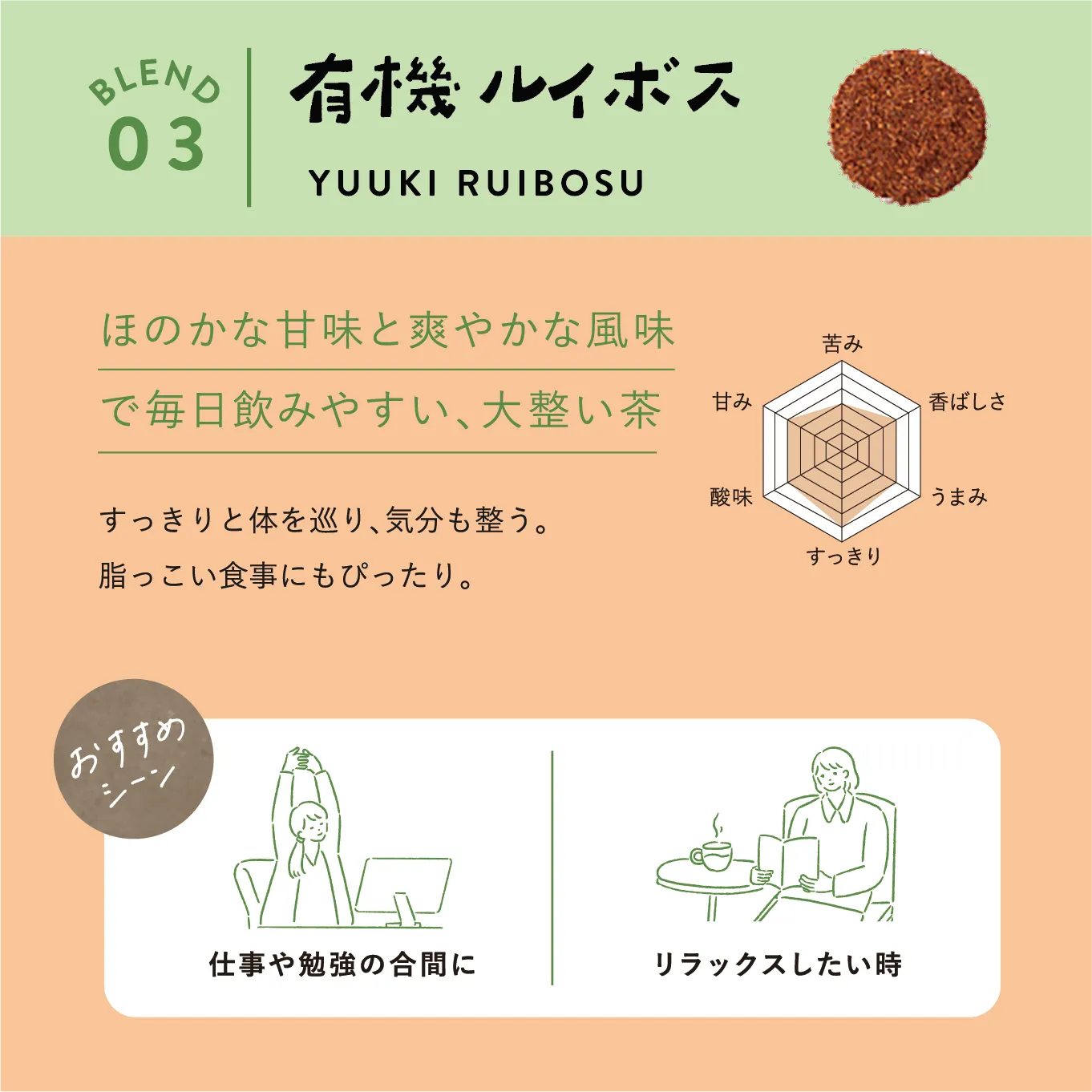 HOLO 乳酸菌後発酵茶 HOLO TEA 20包入り 阿波晩茶×有機ルイボス